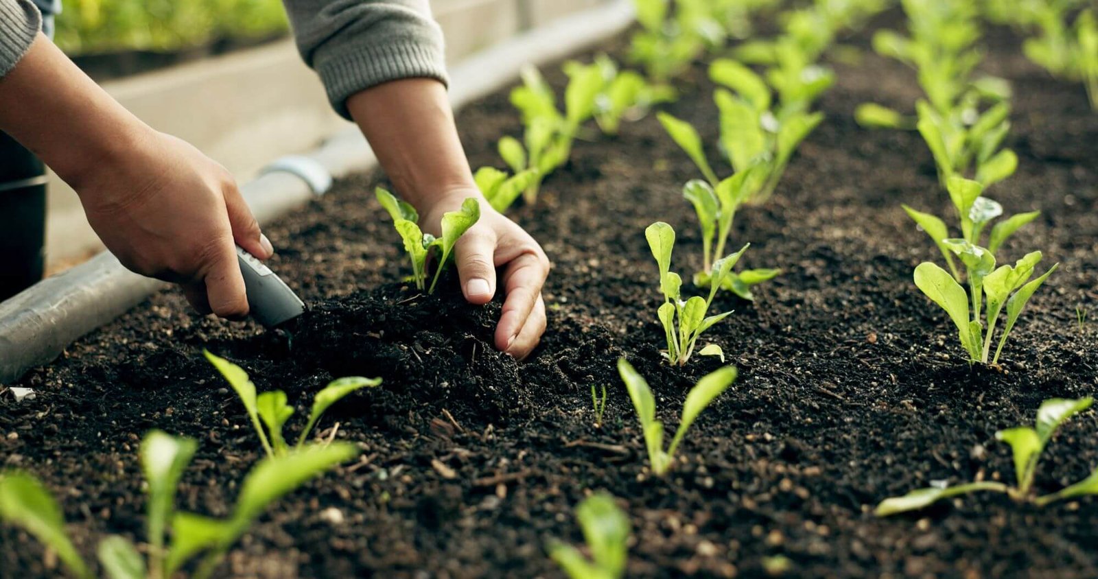 Agência de Marketing Digital para o Agro