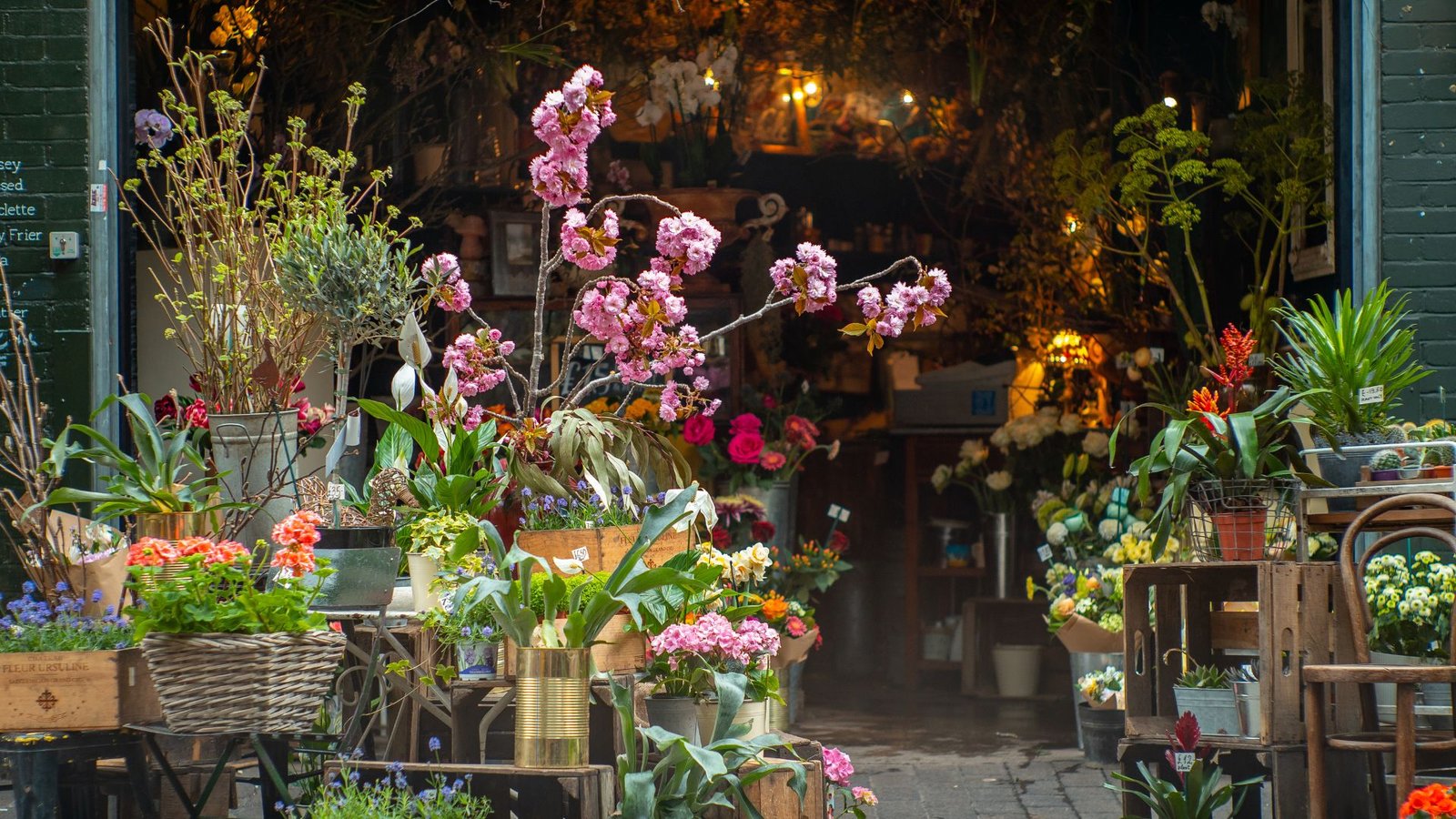 Agência de Marketing Digital para Floricultura